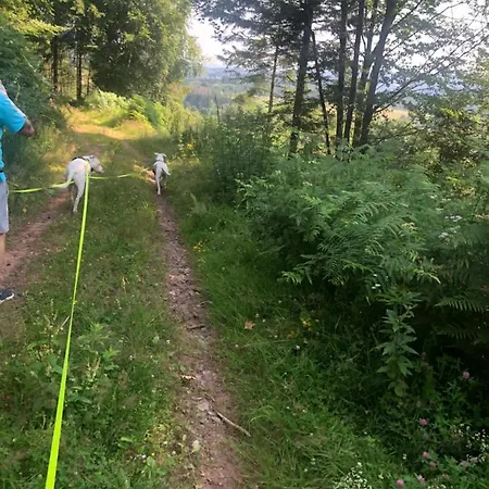 Le Clara Сasa de vacaciones Saulxures